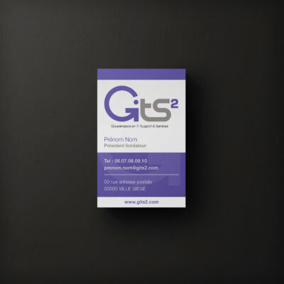 Carte de visite réalisée pour un consultant en gouvernance IT <i>(8,5x5,4cm - 350g - brillant)</i> Carte Gits²