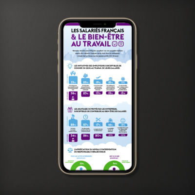 Infographie de présentation des données sur les salariés français et leur bien être au travail, pour un job board <i>(2015)</i> Infographie Monster