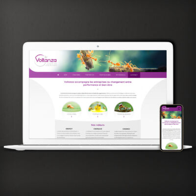 Site vitrine pour présenter l'activité d'une coach en entreprise <i>(Wordpress, thème original, 7 pages - 2017 | <a href="https://www.voltanza.com/" target="_blank" rel="noopener">Voir le site</a>)</i> SIte Voltanza