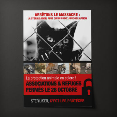 Affiche réalisée pour un refuge <i>(A3 -2016)</i> Affiche Stérilisation